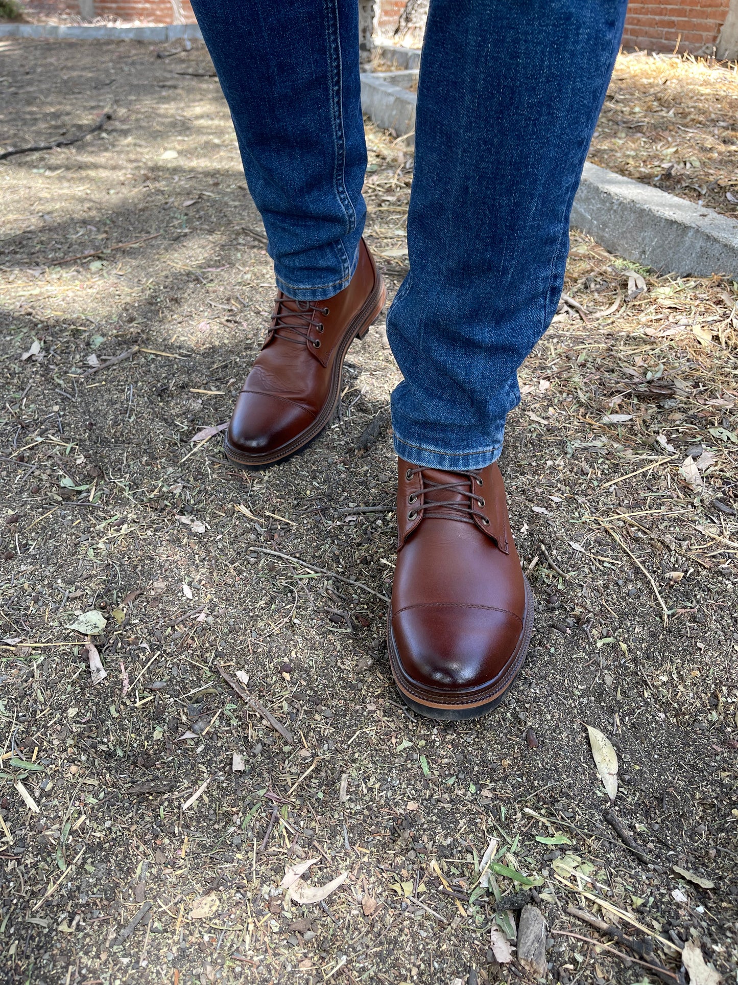 Capboot Shedron