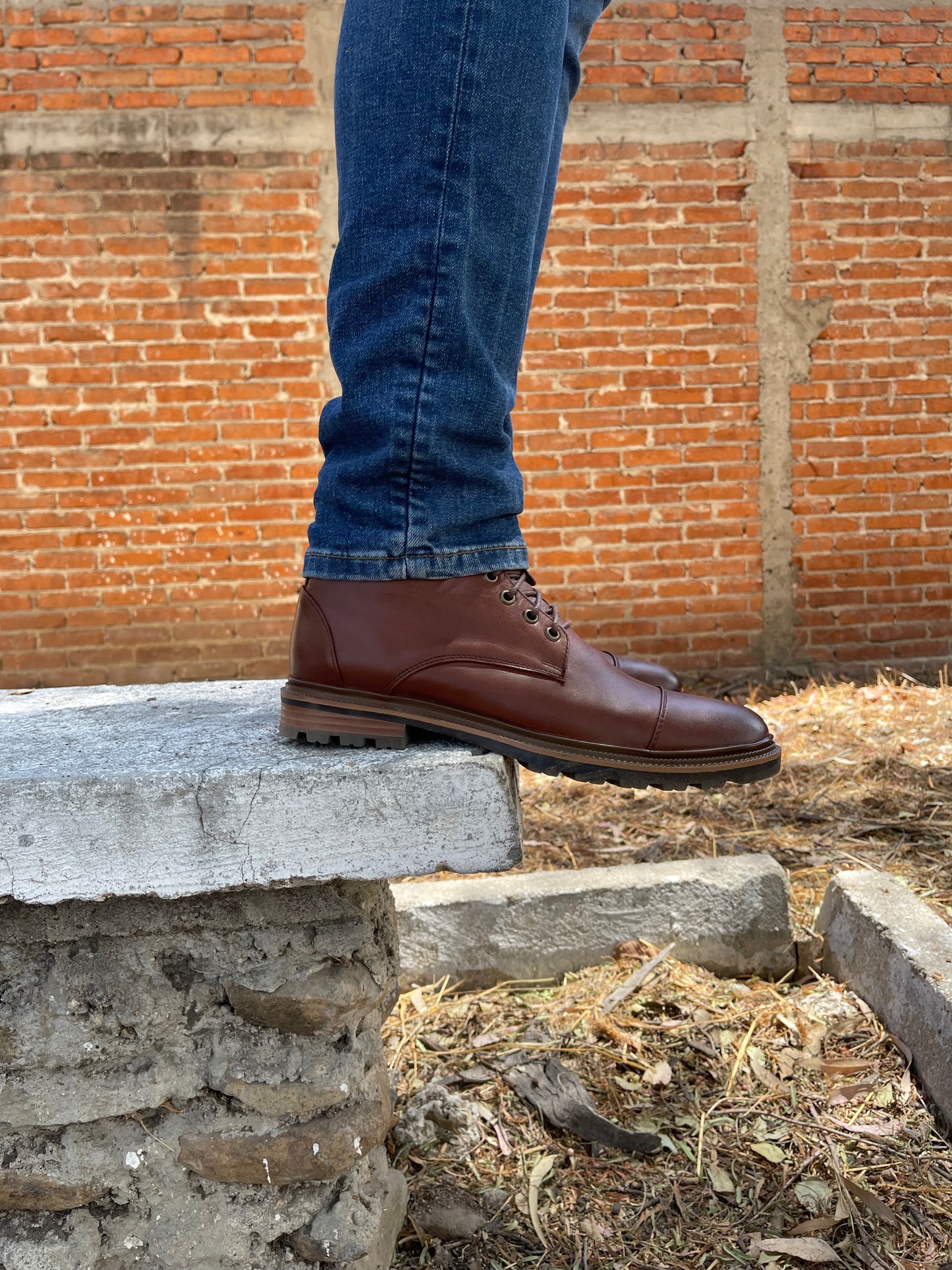 Capboot Shedron