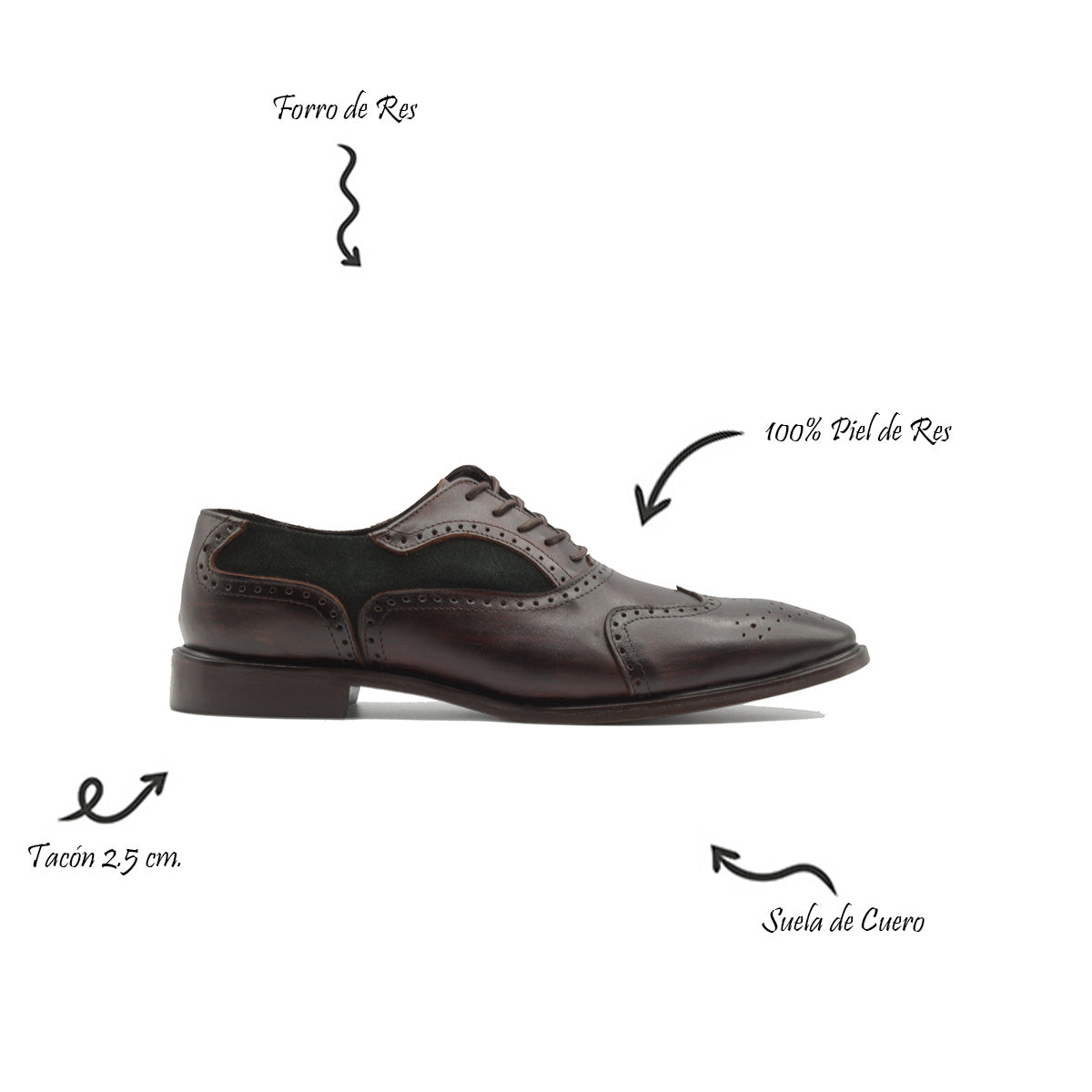 Boston Brogue