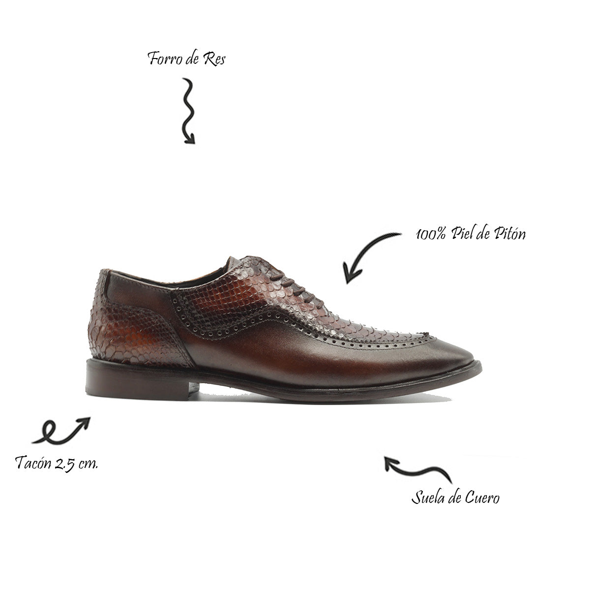 Python Brogue