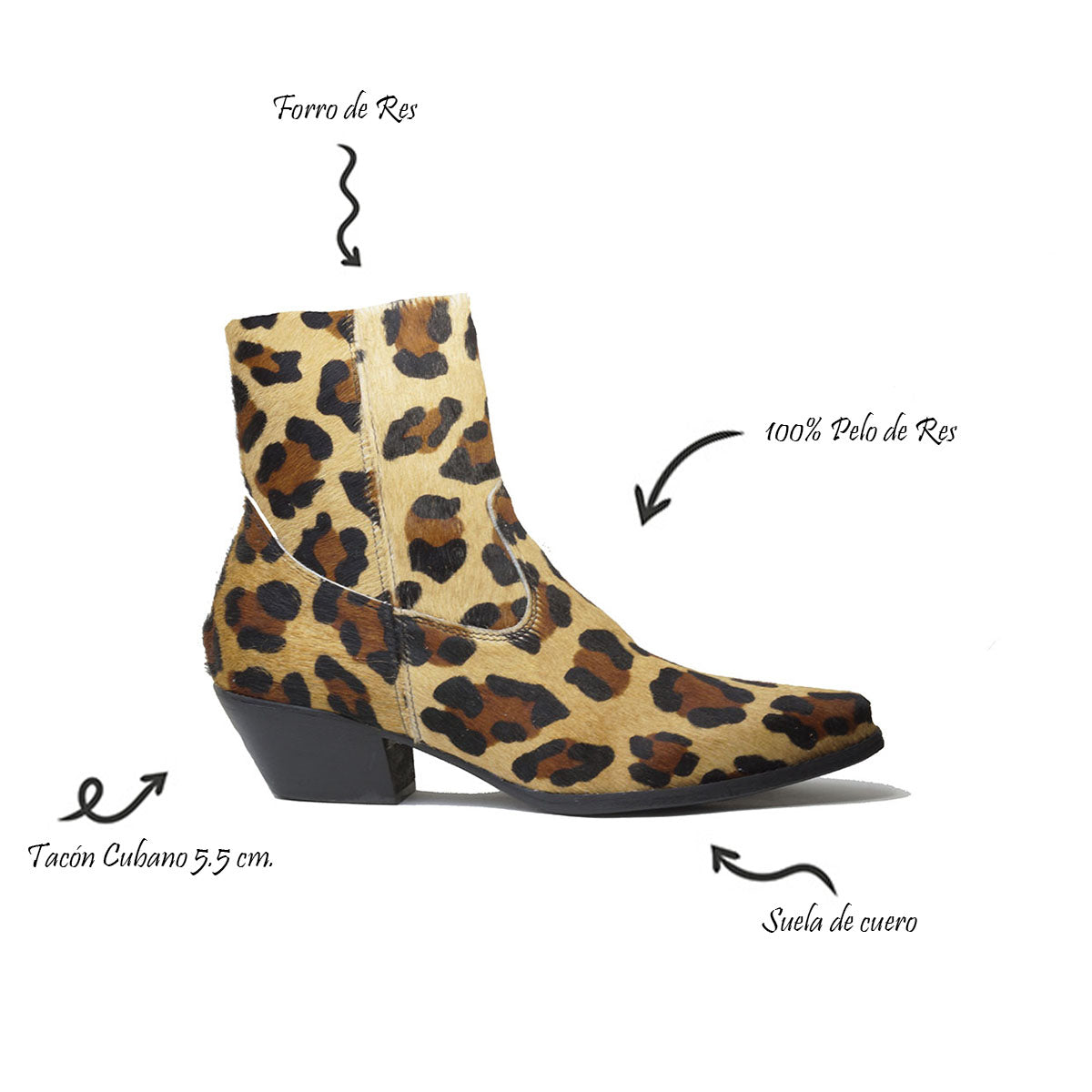 Moscú Cheetah